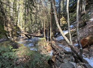Canyon of the Waterfalls