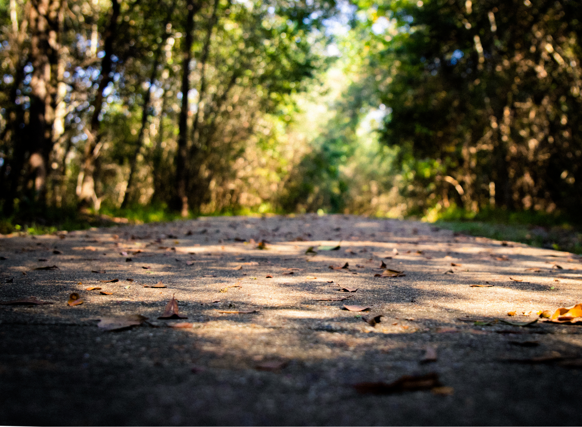 Nevyastata Eco Trail