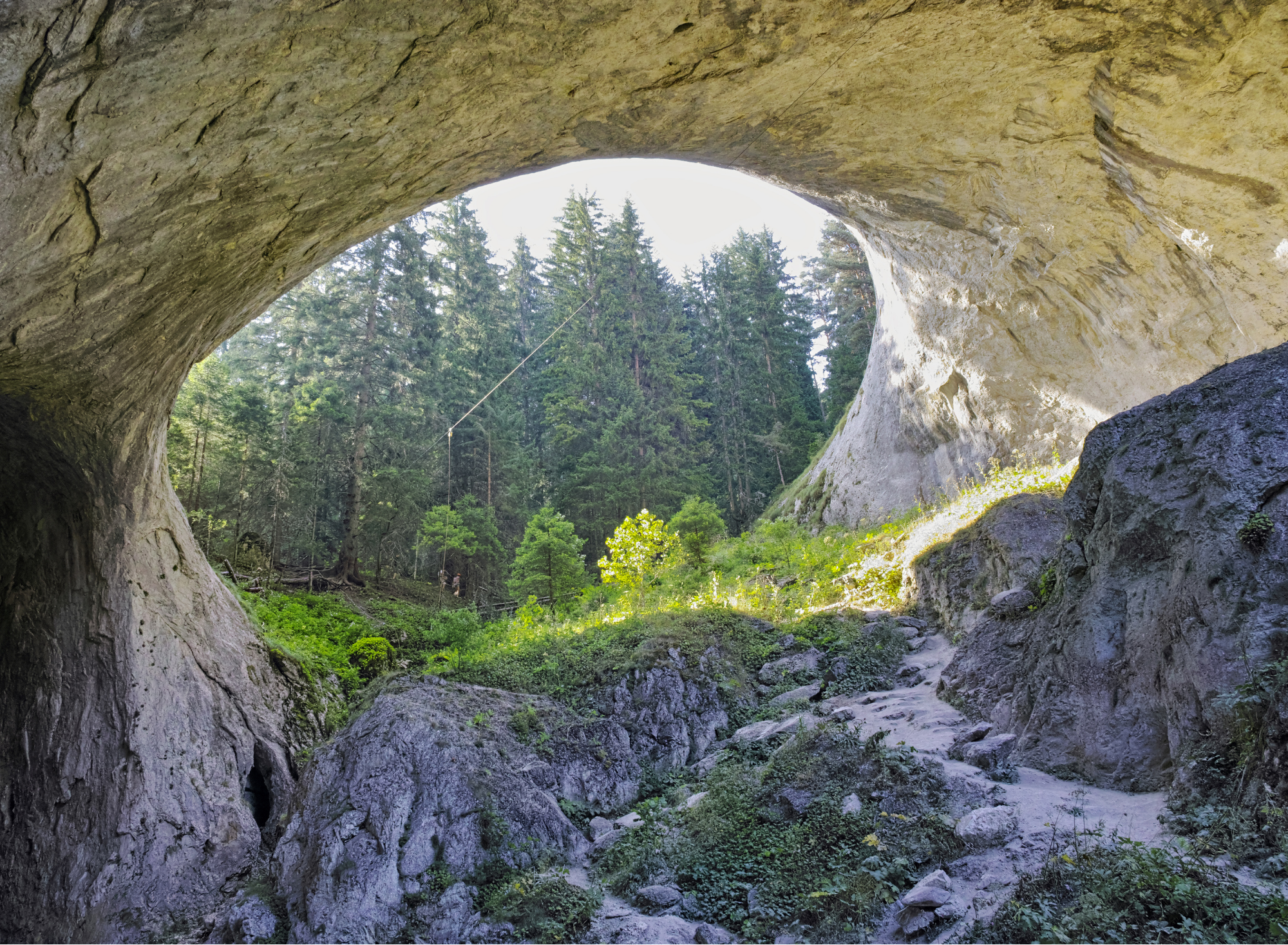 Wonderful Bridges