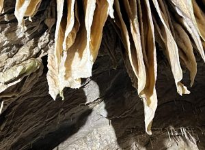 Yagodinska Cave